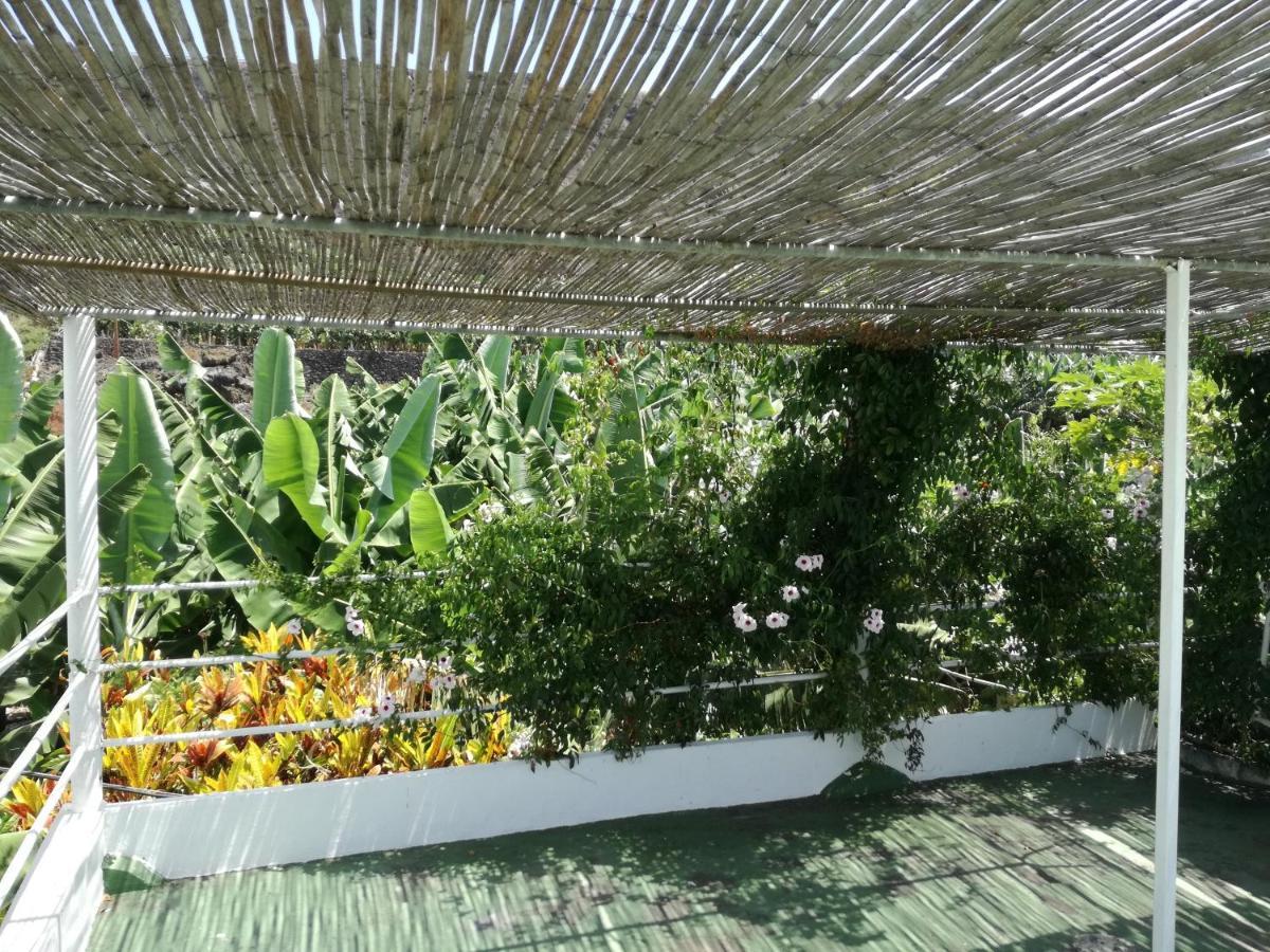 Casa Banana Villa Tazacorte Ngoại thất bức ảnh